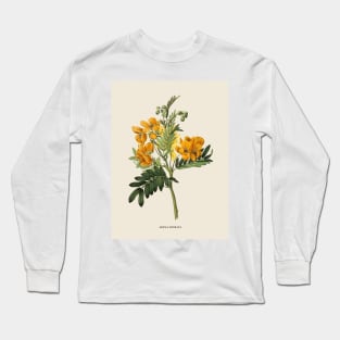 Wildflower Antique Botanical Illustration Long Sleeve T-Shirt